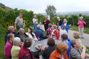 Weinwanderung Heppenheim 2008